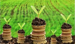Subvención para inversiones en transformación, comercialización y desarrollo de productos agrícolas